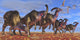 Herd Parasaurolophus Dinosaurs Searching Wall Decal