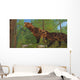 Two Saber-toothed Cats Search Wall Decal