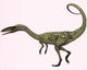 Coelophysis Bauri Dinosaur from Wall Decal