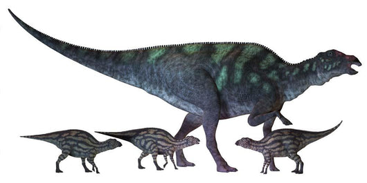 Maiasaura Dinosaur with Offspring Wall Decal Design 2