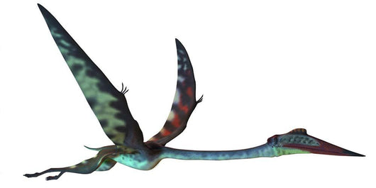 Quetzalcoatlus Predatory Pterosaur Wall Decal