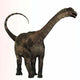 Antarctosaurus Dinosaur from Cretaceous Wall Decal