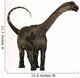 Antarctosaurus Dinosaur from Cretaceous Wall Decal