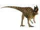 Ceratosaurus Dinosaur from Jurassic Wall Decal Design 1