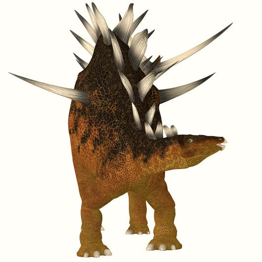 Kentrosaurus Dinosaur from Jurassic Wall Decal Design 2
