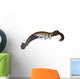 Anomalocaris from Cambrian Period Wall Decal Design 3
