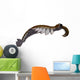 Anomalocaris from Cambrian Period Wall Decal Design 3
