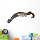 Anomalocaris from Cambrian Period Wall Decal Design 3