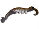Anomalocaris from Cambrian Period Wall Decal Design 3