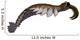 Anomalocaris from Cambrian Period Wall Decal Design 3