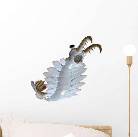 Anomalocaris from Cambrian Period Wall Decal Design 2