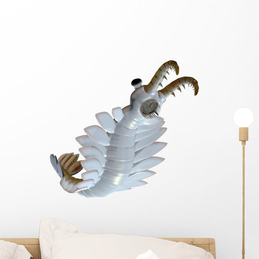 Anomalocaris from Cambrian Period Wall Decal Design 2