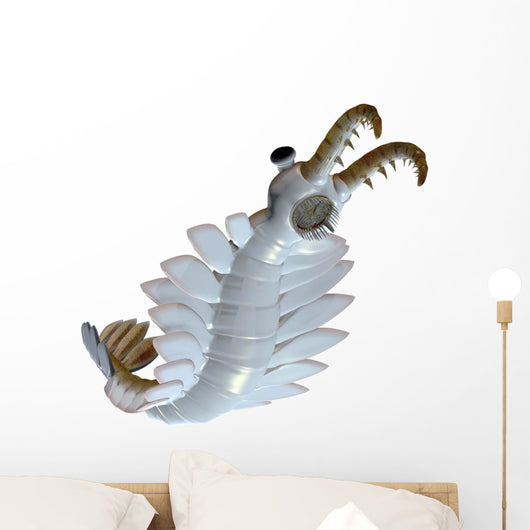 Anomalocaris from Cambrian Period Wall Decal Design 2