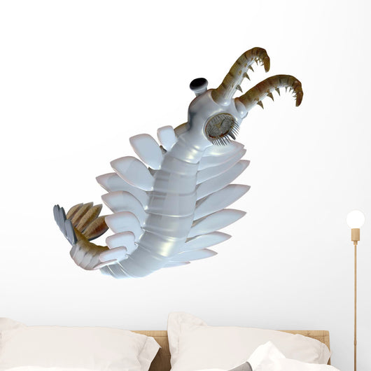 Anomalocaris from Cambrian Period Wall Decal Design 2