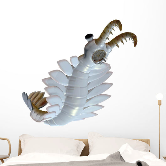 Anomalocaris from Cambrian Period Wall Decal Design 2