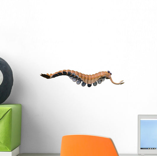 Opabinia Regalis from Middle Wall Decal Design 3