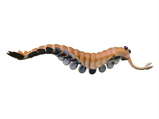 Opabinia Regalis from Middle Wall Decal Design 3
