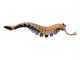Opabinia Regalis from Middle Wall Decal Design 3
