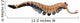 Opabinia Regalis from Middle Wall Decal Design 3