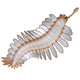 Opabinia Regalis from Middle Wall Decal Design 2