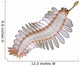 Opabinia Regalis from Middle Wall Decal Design 2