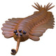 Opabinia Regalis from Middle Wall Decal Design 1