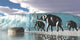 Herd Woolly Mammoths Encounter Wall Decal