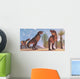 Tyrannosaurus Rex Dinosaurs Have Wall Decal