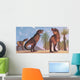 Tyrannosaurus Rex Dinosaurs Have Wall Decal