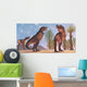 Tyrannosaurus Rex Dinosaurs Have Wall Decal