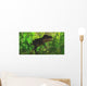 Thick Jungle Foliage Hides Wall Decal