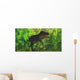 Thick Jungle Foliage Hides Wall Decal