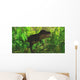 Thick Jungle Foliage Hides Wall Decal