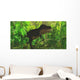 Thick Jungle Foliage Hides Wall Decal