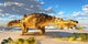 Euoplocephalus Dinosaurs Munch Melons Wall Decal