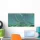 Pteranodon Reptiles Fly over Wall Decal
