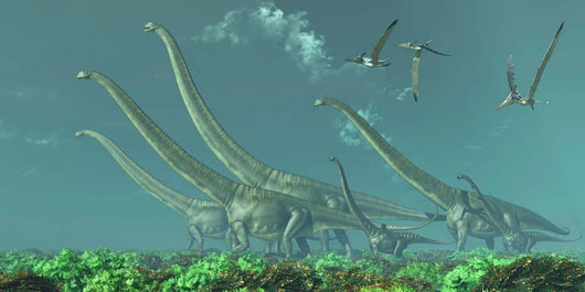 Pteranodon Reptiles Fly over Wall Decal