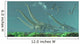 Pteranodon Reptiles Fly over Wall Decal