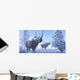 Woolly Rhino Males during Wall Decal