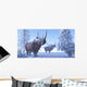 Woolly Rhino Males during Wall Decal