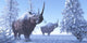 Woolly Rhino Males during Wall Decal