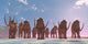 Herd Columbian Mammoths Migrate Wall Decal