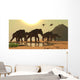 Jabiru Birds Fly past Wall Decal