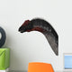Apatosaurus Dinosaur Wall Decal Design 3