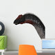 Apatosaurus Dinosaur Wall Decal Design 3