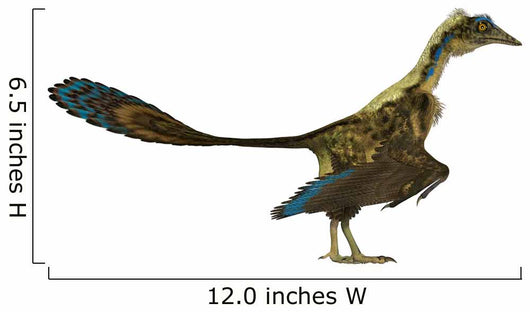 Archaeopteryx Prehistoric Bird Wall Decal Design 1