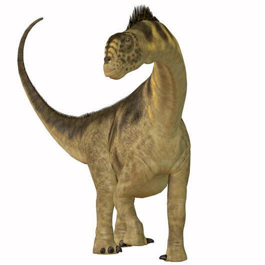 Camarasaurus Dinosaur Wall Decal