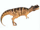 Ceratosaurus Dinosaur Wall Decal Design 2