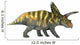 Coahuilaceratops Dinosaur Wall Decal