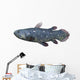 Coelacanth Fish against White Wall Decal